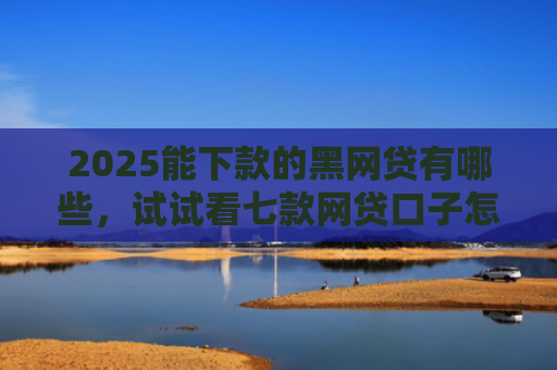 2025能下款的黑网贷有哪些，试试看七款网贷口子怎么好下款