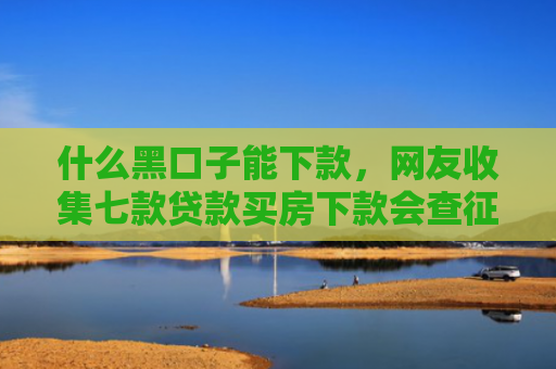 什么黑口子能下款，网友收集七款贷款买房下款会查征信