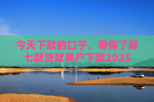 今天下款的口子，带你了解七款贷款黑户下款2025