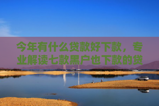 今年有什么贷款好下款，专业解读七款黑户也下款的贷款