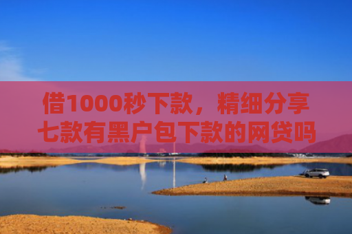 借1000秒下款，精细分享七款有黑户包下款的网贷吗