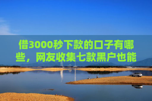 借3000秒下款的口子有哪些，网友收集七款黑户也能秒下款的网贷