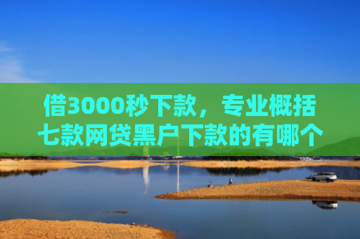 借3000秒下款，专业概括七款网贷黑户下款的有哪个