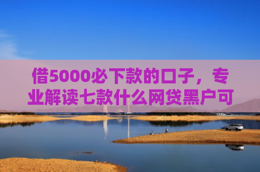 借5000必下款的口子，专业解读七款什么网贷黑户可以下款的