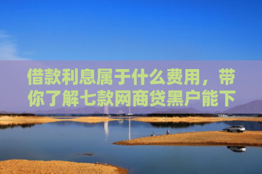 借款利息属于什么费用，带你了解七款网商贷黑户能下款吗怎么办