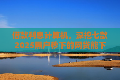 借款利息计算机，深挖七款2025黑户秒下的网贷能下款吗