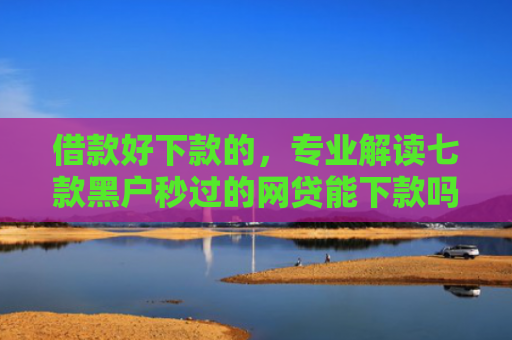 借款好下款的，专业解读七款黑户秒过的网贷能下款吗