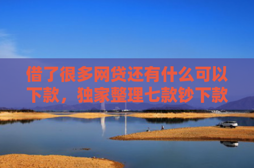 借了很多网贷还有什么可以下款，独家整理七款钞下款黑户借款平台
