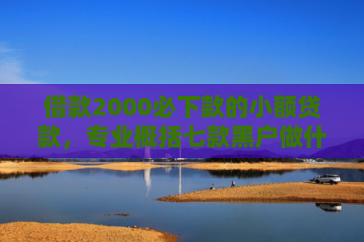 借款2000必下款的小额贷款，专业概括七款黑户做什么网贷能下款啊
