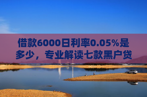 借款6000日利率0.05%是多少，专业解读七款黑户贷款的网贷能下款吗