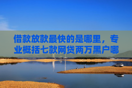借款放款最快的是哪里，专业概括七款网贷两万黑户哪个好下款