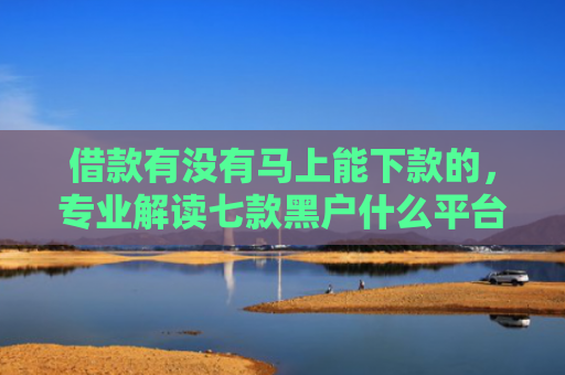 借款有没有马上能下款的，专业解读七款黑户什么平台能下款
