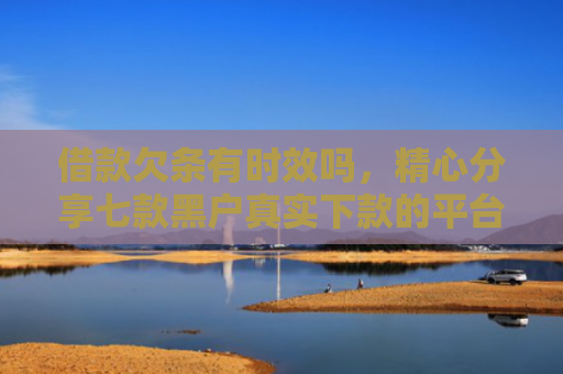 借款欠条有时效吗，精心分享七款黑户真实下款的平台