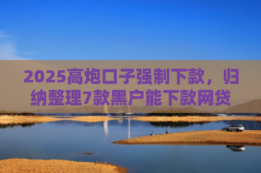 2025高炮口子强制下款，归纳整理7款黑户能下款网贷口子