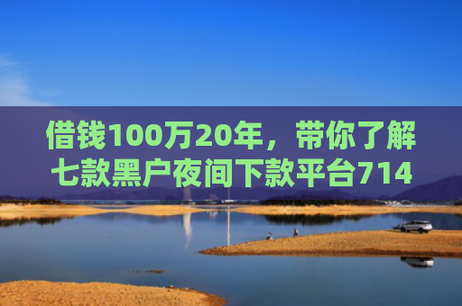 借钱100万20年，带你了解七款黑户夜间下款平台714