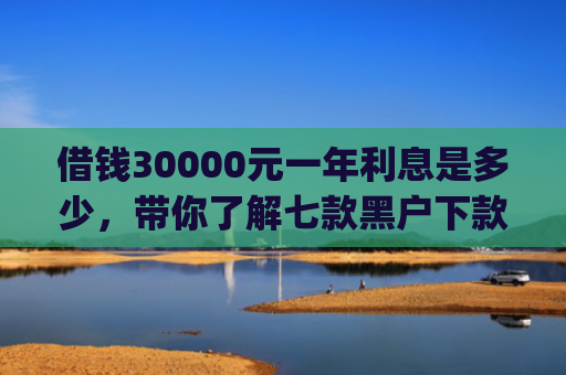 借钱30000元一年利息是多少，带你了解七款黑户下款平台App