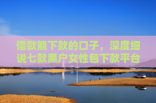 借款能下款的口子，深度细说七款黑户女性包下款平台