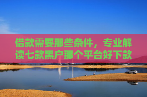 借款需要那些条件，专业解读七款黑户那个平台好下款