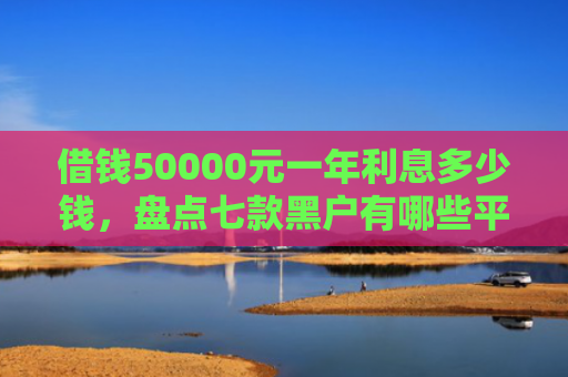 借钱50000元一年利息多少钱，盘点七款黑户有哪些平台好下款