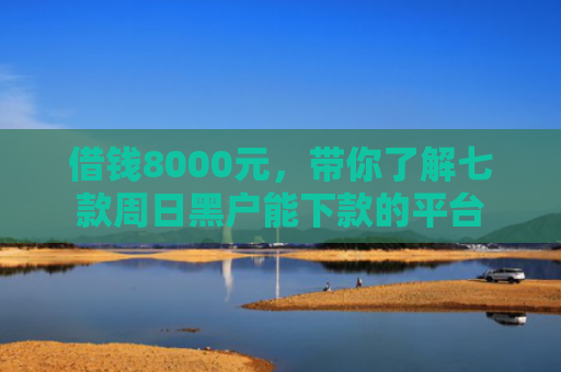 借钱8000元，带你了解七款周日黑户能下款的平台