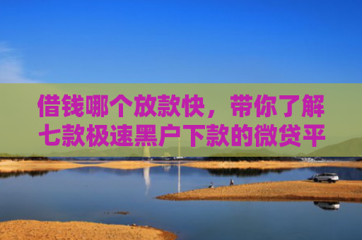 借钱哪个放款快，带你了解七款极速黑户下款的微贷平台