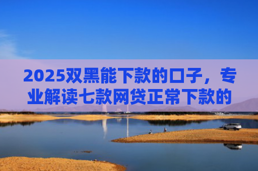 2025双黑能下款的口子，专业解读七款网贷正常下款的老口子