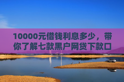 10000元借钱利息多少，带你了解七款黑户网贷下款口子