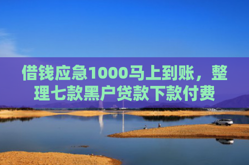 借钱应急1000马上到账，整理七款黑户贷款下款付费