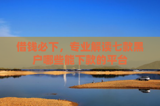 借钱必下，专业解读七款黑户哪些能下款的平台
