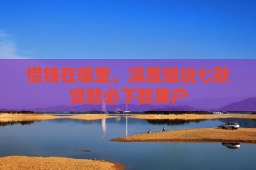 借钱在哪里，深度细说七款贷款必下款黑户