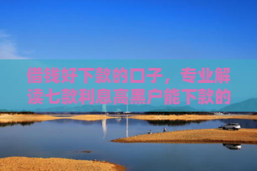 借钱好下款的口子，专业解读七款利息高黑户能下款的平台