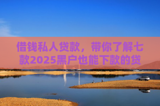 借钱私人贷款，带你了解七款2025黑户也能下款的贷款