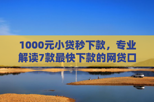 1000元小贷秒下款，专业解读7款最快下款的网贷口子