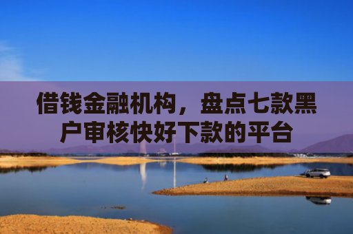 借钱金融机构，盘点七款黑户审核快好下款的平台