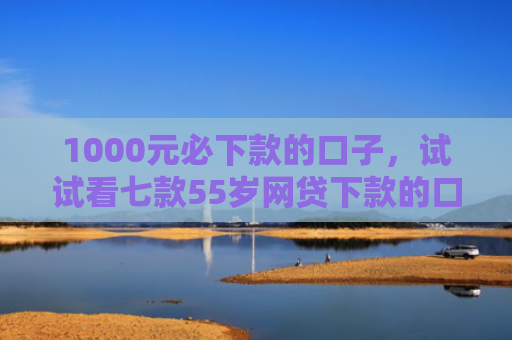 1000元必下款的口子，试试看七款55岁网贷下款的口子