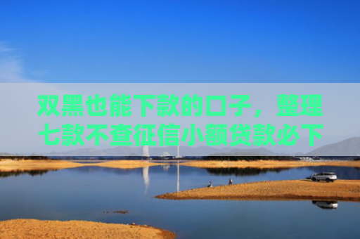 双黑也能下款的口子，整理七款不查征信小额贷款必下款2025