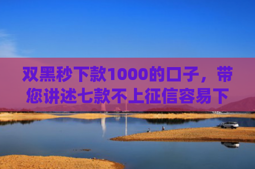 双黑秒下款1000的口子，带您讲述七款不上征信容易下款贷款的app