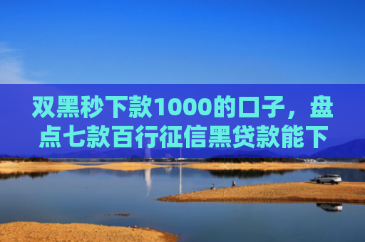 双黑秒下款1000的口子，盘点七款百行征信黑贷款能下款吗