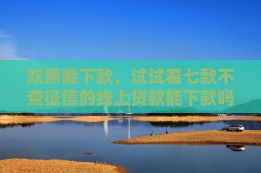 双黑能下款，试试看七款不查征信的线上贷款能下款吗