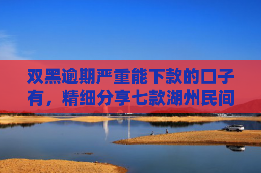 双黑逾期严重能下款的口子有，精细分享七款湖州民间贷款征信不好能下款吗