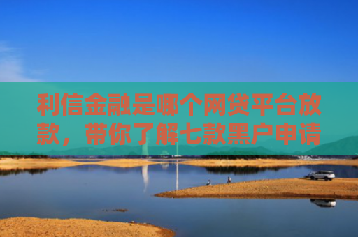 利信金融是哪个网贷平台放款，带你了解七款黑户申请哪个贷款好下款