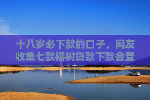 十八岁必下款的口子，网友收集七款榕树贷款下款会查征信吗