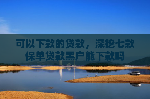 可以下款的贷款，深挖七款保单贷款黑户能下款吗