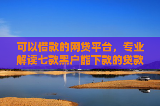 可以借款的网贷平台，专业解读七款黑户能下款的贷款平台