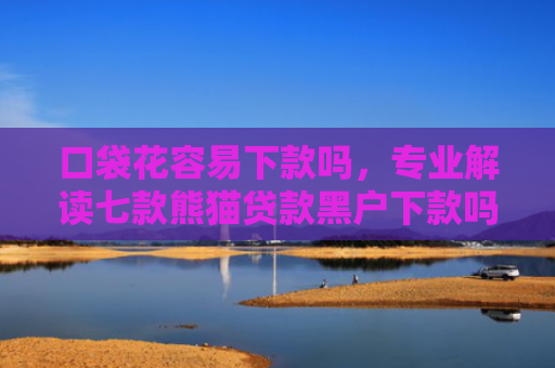 口袋花容易下款吗，专业解读七款熊猫贷款黑户下款吗