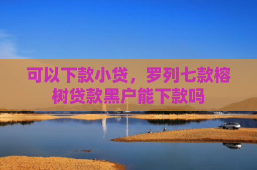 可以下款小贷，罗列七款榕树贷款黑户能下款吗
