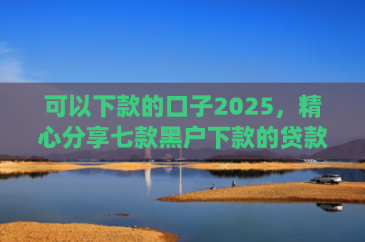 可以下款的口子2025，精心分享七款黑户下款的贷款app