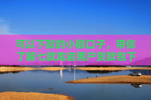 可以下款的小额口子，带你了解七款龙岩黑户贷款包下款的