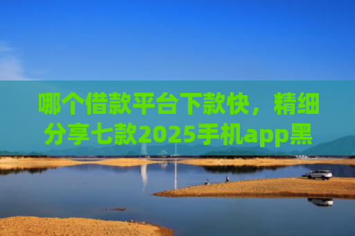 哪个借款平台下款快，精细分享七款2025手机app黑户下款