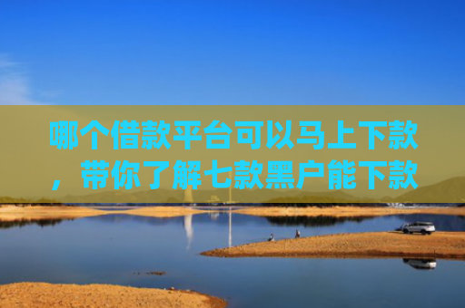 哪个借款平台可以马上下款，带你了解七款黑户能下款的小额贷款app